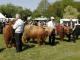 thumbnail 162 --7383.jpg